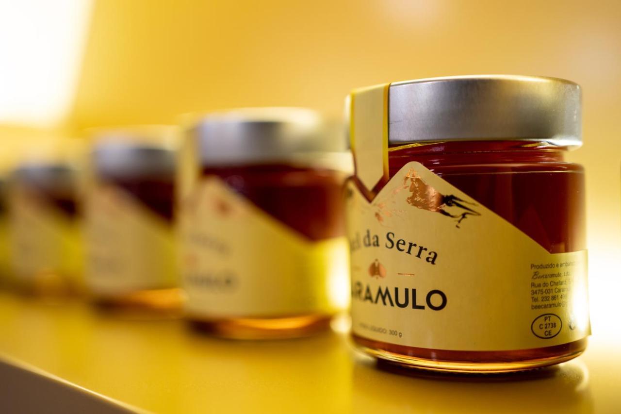 Beecaramulo-Apiturismo Villa Ngoại thất bức ảnh